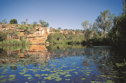 Manning Gorge - 2032 Olympic Games 0