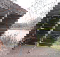 Martin Bend Wetland and Walking Trail - 2032 Olympic Games