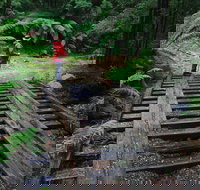 Montezuma Falls - 2032 Olympic Games