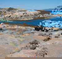 Nanarup Beach - 2032 Olympic Games