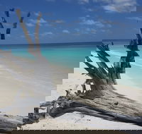 North West Island - 2032 Olympic Games
