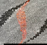 Red Poles Art Gallery - 2032 Olympic Games