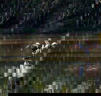 Seaham Swamp Nature Reserve - 2032 Olympic Games