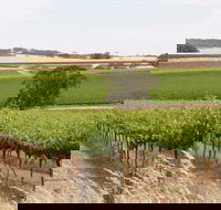 Smidge Wines Tasting Room - 2032 Olympic Games