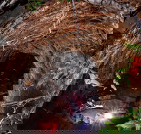 Undara Experience - 2032 Olympic Games