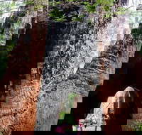 Ancient Empire Walk Valley of the Giants - 2032 Olympic Games