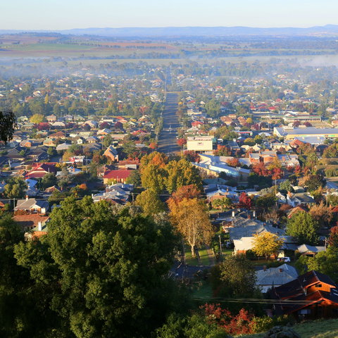 Bellevue Hill Reserve - 2032 Olympic Games 1