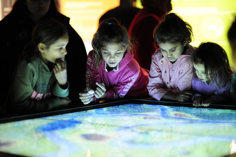 Bilya Koort Boodja - Centre For Nyoongar Culture And Environmental Knowledge - 2032 Olympic Games 0