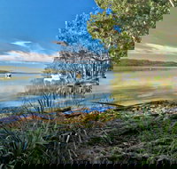 Black Oaks Picnic Area - 2032 Olympic Games