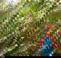 Canungra - 2032 Olympic Games