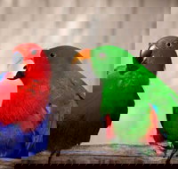 Denmark Dinosaur World - 2032 Olympic Games