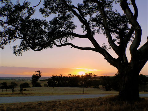 Eden Valley Lookout - 2032 Olympic Games 0