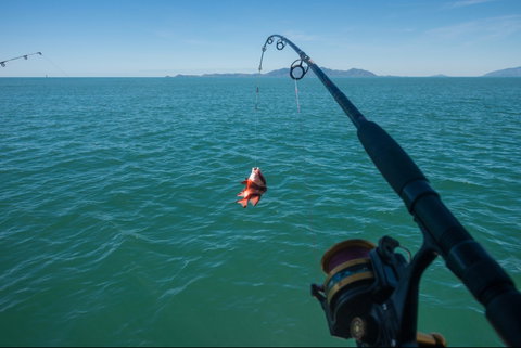 Fishing At Magnetic Island - 2032 Olympic Games 1