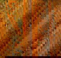 Newcastle Waters - 2032 Olympic Games