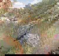 Palm Springs - 2032 Olympic Games