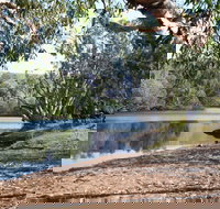 Silent Grove - 2032 Olympic Games