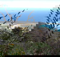 Strzelecki Peaks Great Short Walk - 2032 Olympic Games