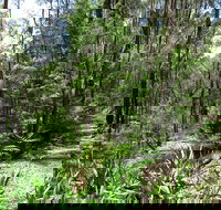 Tyers Park - 2032 Olympic Games