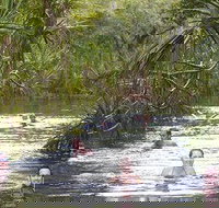 Berry Springs - 2032 Olympic Games