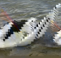 Chinaman Wells - 2032 Olympic Games