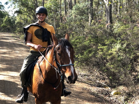 Horse Riding Tasmania - 2032 Olympic Games 2