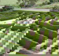 Mintaro Maze - 2032 Olympic Games