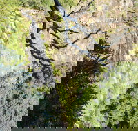 Morans Falls track Lamington National Park - 2032 Olympic Games