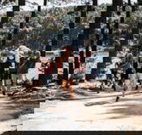 Myponga Reservoir Trail - 2032 Olympic Games