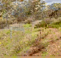 Old Mountain Road Walking Track - 2032 Olympic Games