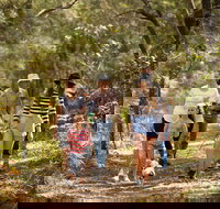 Russell Island Canaipa - 2032 Olympic Games