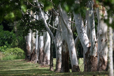 Teven Valley Golf Course - 2032 Olympic Games 1