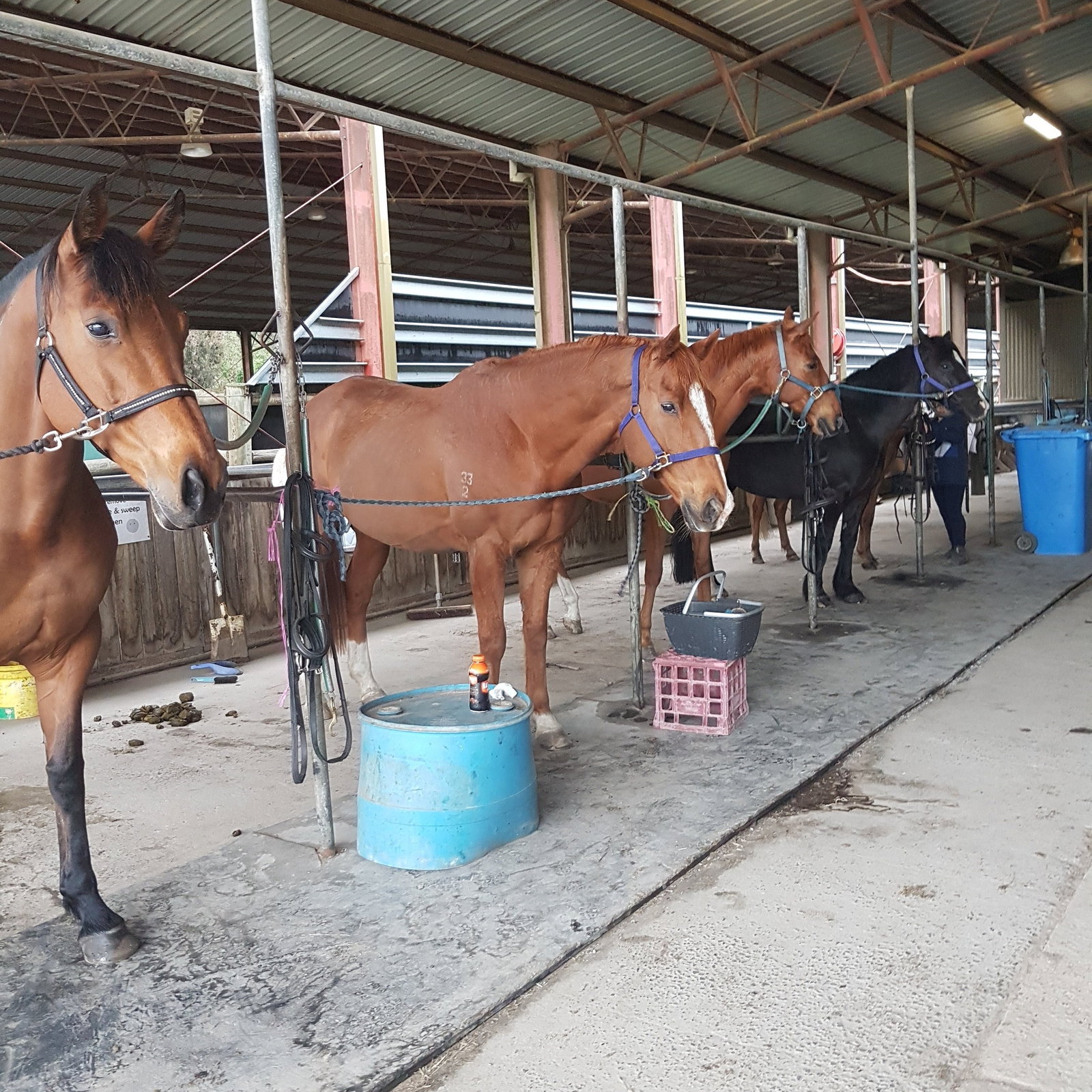 Cranbourne South VIC 2032 Olympic Games