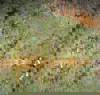 Time Walk Windjana Gorge National Park - 2032 Olympic Games