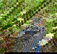 Yarra Ranges National Park - 2032 Olympic Games