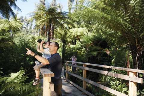 Yarra Ranges National Park - 2032 Olympic Games 1