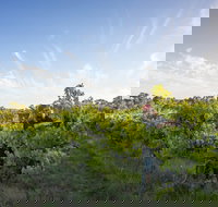 Mclaren Vale - 2032 Olympic Games