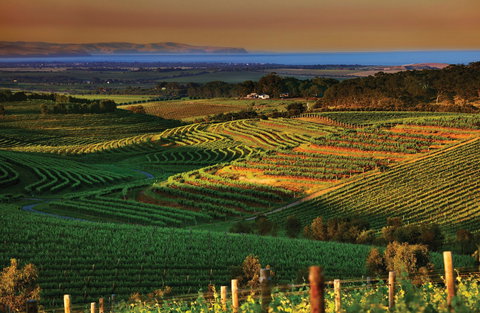 Mclaren Vale - 2032 Olympic Games 1