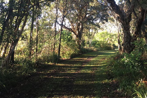 Coffs Harbour To Sawtell Bike Ride - 2032 Olympic Games 7