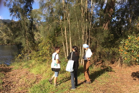 Fishermans Paradise Eco-walk - 2032 Olympic Games 1