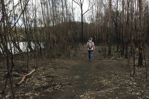 Fishermans Paradise Eco-walk - 2032 Olympic Games 5