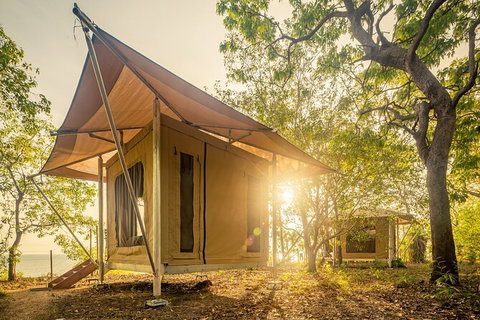 5 Day Kakadu National Park And Arnhem Land Tour - 2032 Olympic Games 7