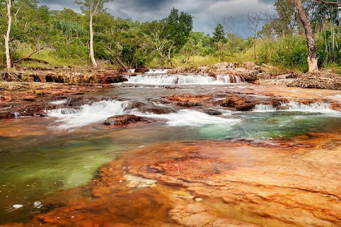Full-Day Private Guided Tour To Litchfield National Park - 2032 Olympic Games 14