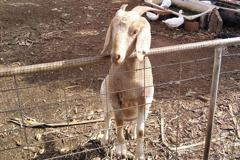 Full-Day Private Guided Tour To Litchfield National Park - 2032 Olympic Games 10