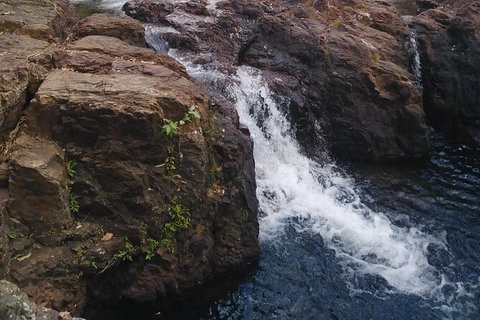 Full-Day Private Guided Tour To Litchfield National Park - 2032 Olympic Games 8