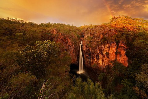 Full-Day Private Guided Tour To Litchfield National Park - 2032 Olympic Games 20