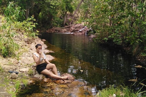 Full-Day Private Guided Tour To Litchfield National Park - 2032 Olympic Games 11