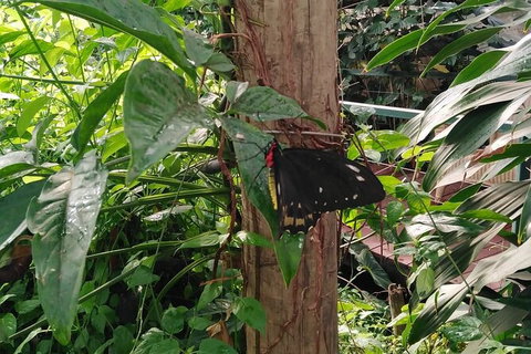 Full-Day Private Guided Tour To Litchfield National Park - 2032 Olympic Games 1