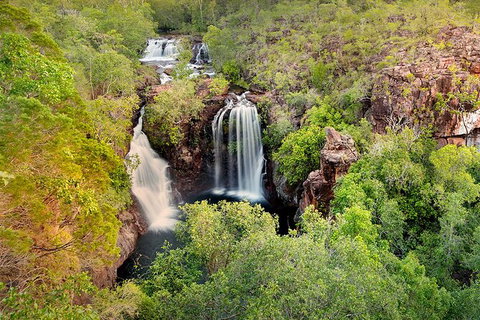 Full-Day Private Guided Tour To Litchfield National Park - 2032 Olympic Games 0