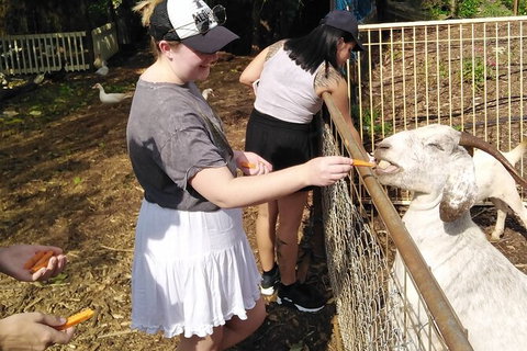 Full-Day Private Guided Tour To Litchfield National Park - 2032 Olympic Games 4