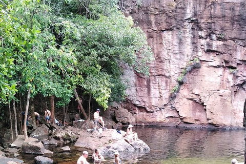 Full-Day Private Guided Tour To Litchfield National Park - 2032 Olympic Games 16
